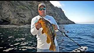 Choosing the Right Crankbait Tackle for Saltwater Bass