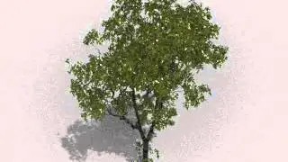 Animated Tree Test