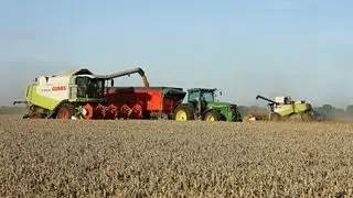 Big harvest with 4 Claas Lexion 600, 570, 510 - moisson blé 2011
