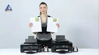 Сравнение Epson XP-313 и WorkForce WF-2530