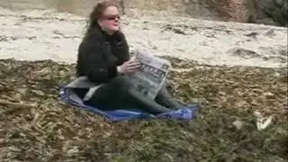 Folkestone Tourist Board Video