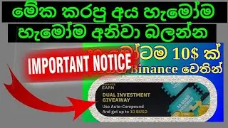Binance Dual investment Auto Compound Event Update 🥳🔥 | How to Redeem/Claim Reward | WwCf