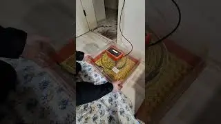 VGS 50 Kuluçka makinası tanıtım ve kurulum .