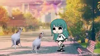 Gacha PartyDogs😂