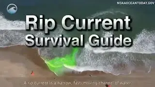 Rip Current Survival Guide