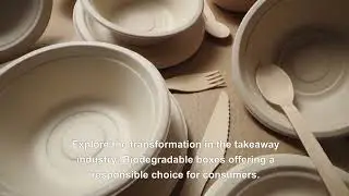 Revolutionizing Food Packaging with Biodegradable Solutions