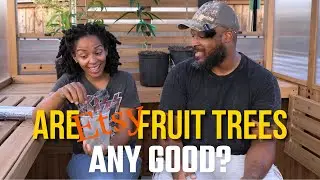 Buying Fruit Trees on Etsy