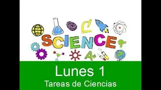 Uso de las máquinas II