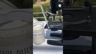 Fake Milk Exposed #shorts #outofmindexperiment