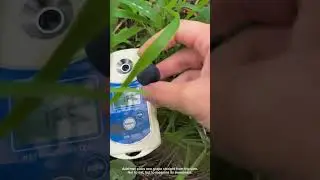 Checking Grape Sweetness with a Brix Meter