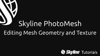 PhotoMesh Tutorials #5: Editing Mesh Geometry and Texture
