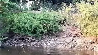 COMNHESENDO O CENTRO DO RECIFE DE BARCO RIO CAPIBARIBE 