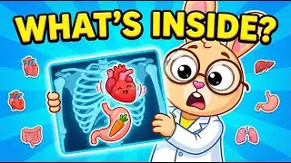 Learn Body Organs with Bunny 🐰 | Fun Educational Video for Kids