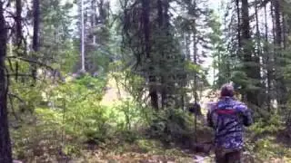 Wildman Jeff