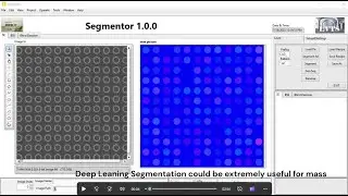 Segmentor for mass measurement