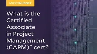 MicroNuggets: Certified Associate in Project Management (CAPM)&reg; Explained