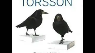 Torsson - Fulast I Stan