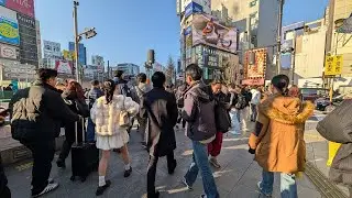 【高画質FHDお散歩ライブカメラ】新宿　散歩　Shinjyuku walking【live camera】2025/12/29