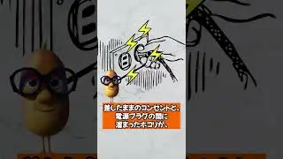 コンセントのホコリに注意！#shorts