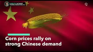 What's Driving China's Aggressive Purchase of U.S. Corn?
