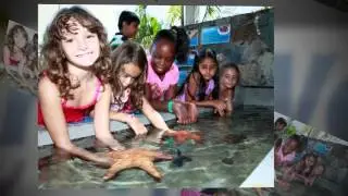 Aquatic Touch Pool at Coral World Ocean Park, St. Thomas, USVI