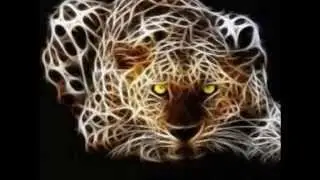 hipster lion fondos de pantalla