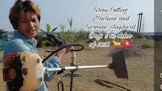 Grass Cutting Machine and German Shepherd Dogs !! 1st video of 2026 🐕💥