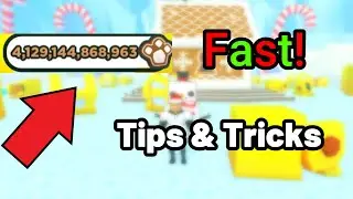 How to Get GINGERBREAD COINS *FAST* IN Pet sim X!