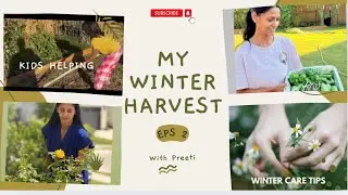 Austin Winter Garden Update & Harvest | Real Gardening 