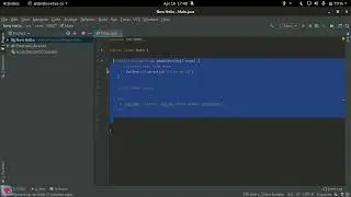 JAVA VARIABLES: What You Need to Know & SCANNER CLASS