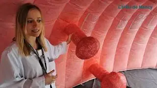 [MARS BLEU] Le c&ocirc;lon tour 2022 au CHRU de Nancy
