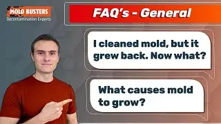 What causes mold to grow❓General FAQ's - Mold Busters