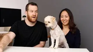 A Minimalist's Perspective on Getting a Dog | Break the Twitch