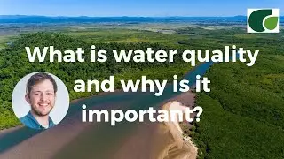 Explainer: Water Quality in the Wet Tropics