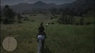 Red Dead Redemption 2