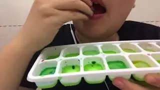 ASMR ICE TRAY❄️HARD ICE❄️ (crunchy)