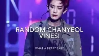 Random Chanyeol Vine Compilation