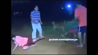 Batalie intre brezle