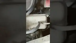 kwid engine noise