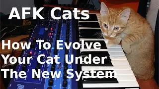 AFK Cats - How Does the New Evolving System Work?