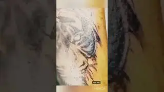 tiger tattoos only 4000.price