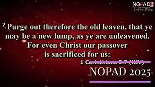 Pst Simon Adamaigbo Word Ministration - NOPAD 2025