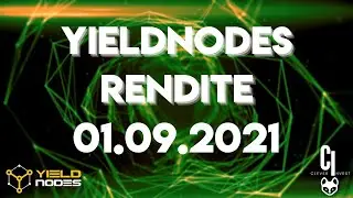 Yieldnodes Rendite - 01 August 2021