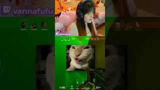 CHAMBER WHIFF!? 😱 ── Я в прямом эфире по вторникам и пятницам в 13:00 по восточному времени! ── #...