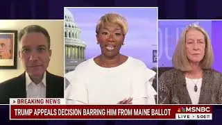 Jeffrey Rosen speaks about the Supreme Court and immunity from prosecution on The ReidOut