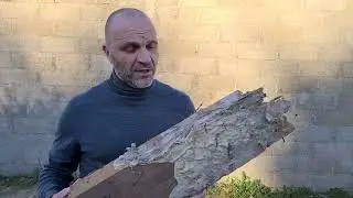 Catastrophe ! Enorme M&eacute;rule sur un linteau bois en Bretagne &agrave; cause d'une fuite !