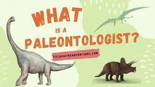 What is a Paleontologist?