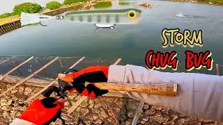 Unboxing,Test,dan REVIEW lure STORM CHUG BUG || mini popper killer dari STORM