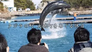 地元の友達に太地町の穴場を案内してもらいました。/和歌山県東牟婁郡太地町、那智勝浦町/生マグロ/くじらの博物館/平見台園地/きよもん湯