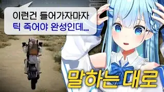 담유이 데드무비